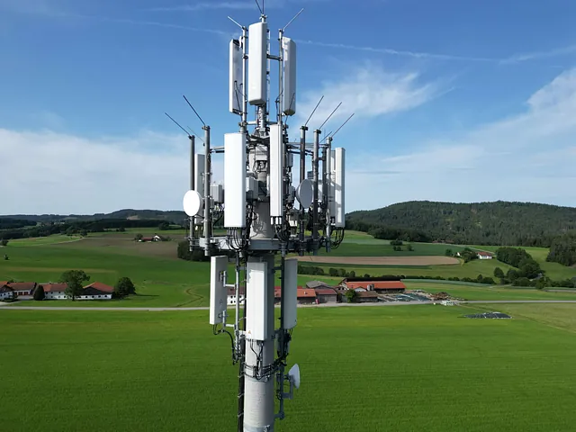 Behördenmast Zandt